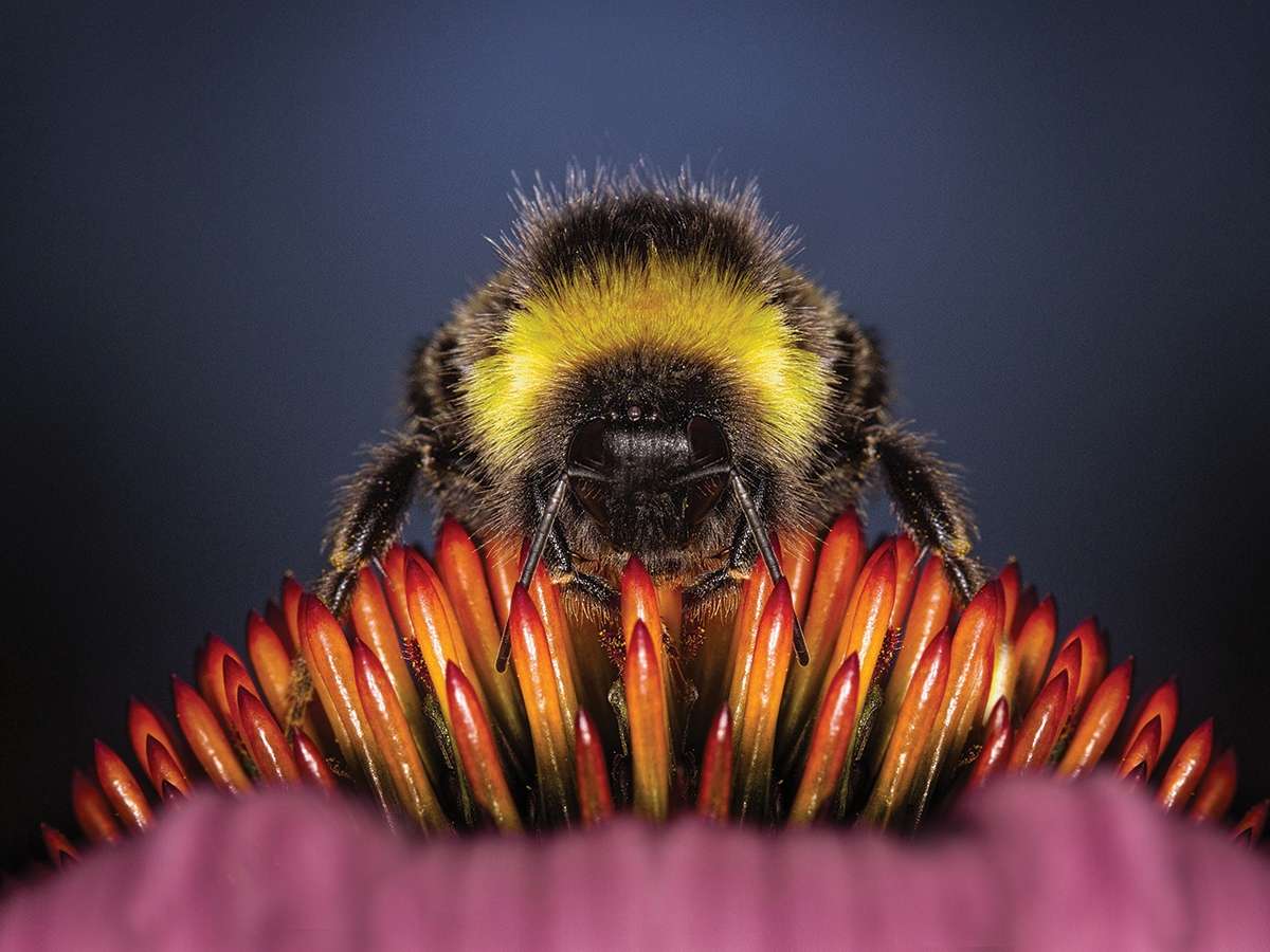 Settling the Social Media Score(s)