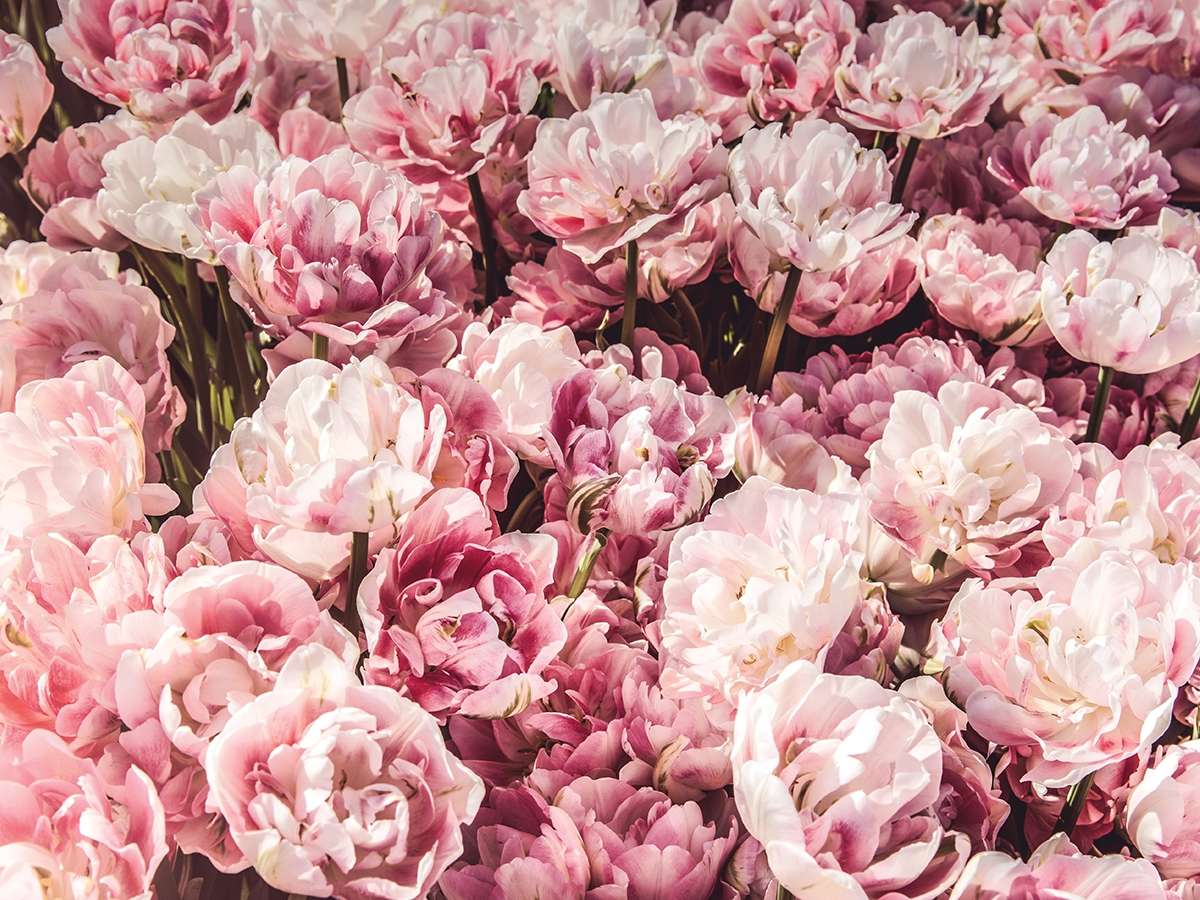 Pay Retention to This